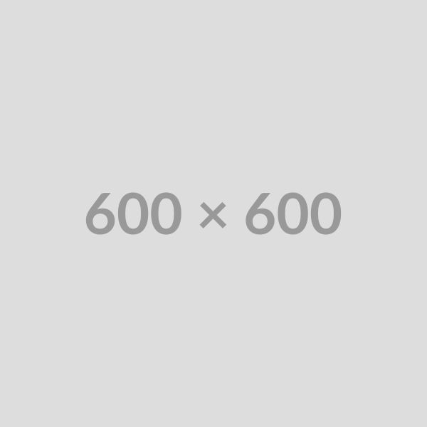 Found in Translation: Local Publisher Brings Alive the Story of a Somali Olympian and Refugee for Macedonian Readers